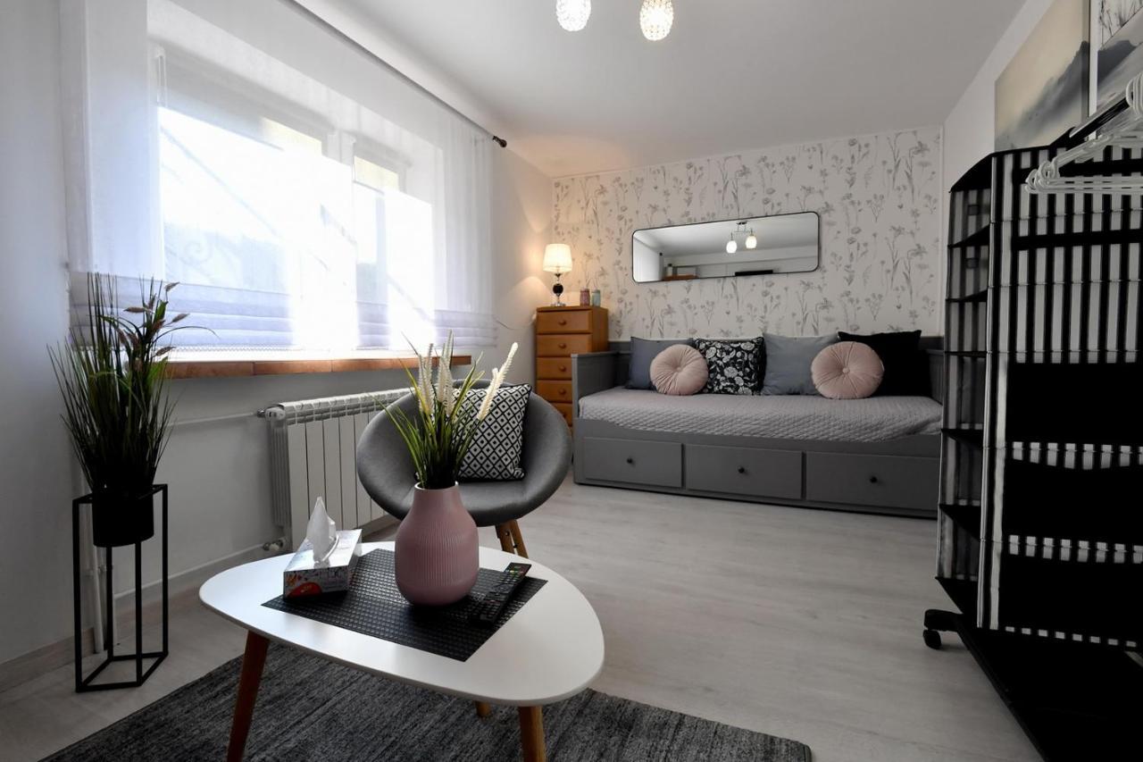 Apartament Spytkowice - Energylandia Krakow Oswiecim Wadowice Exterior foto